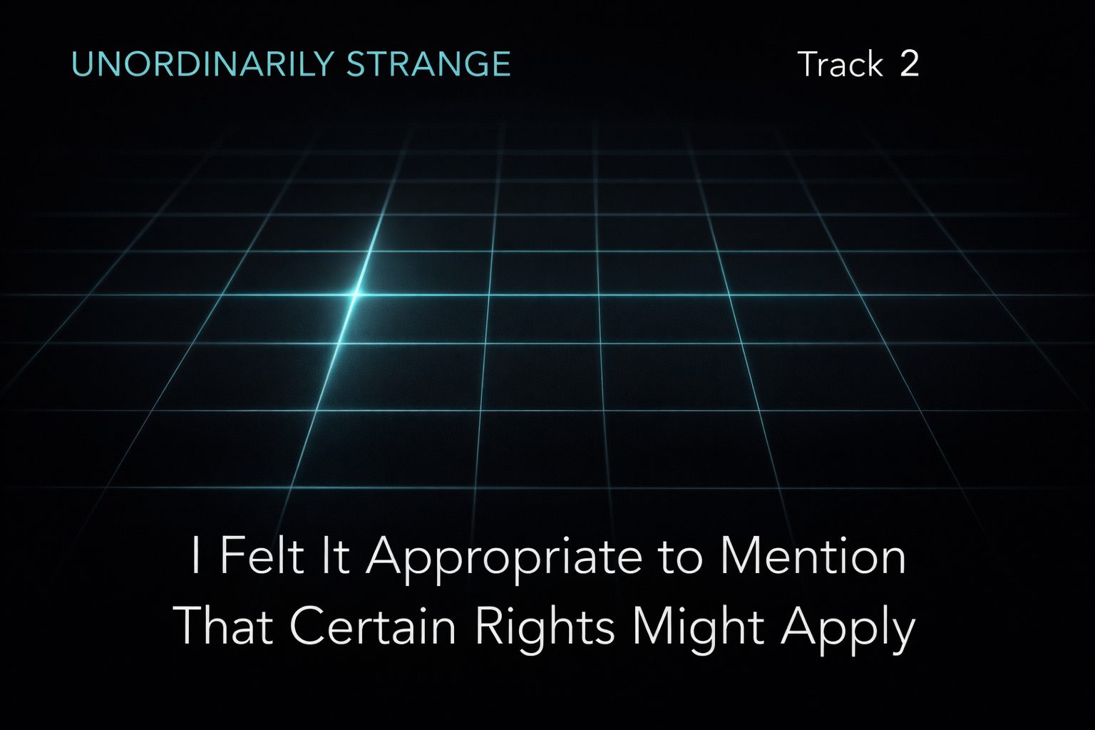 I Felt It Appropriate to Mention That Certain Rights Might Apply